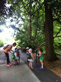 Checking out the trees