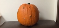 Monster pumpkin