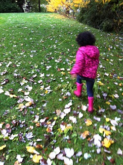 Running through the leaves