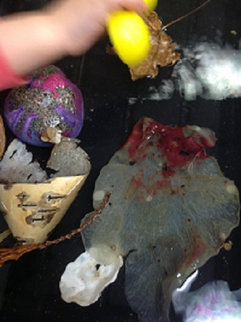 Floating and sinking experiments