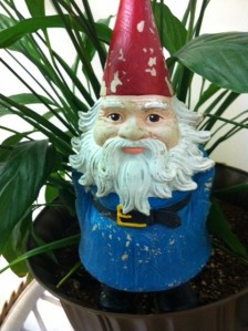The Gnome knows... nature