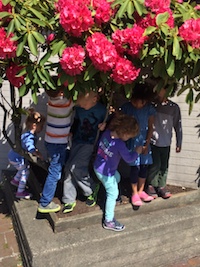 As many kids under a flowering tree