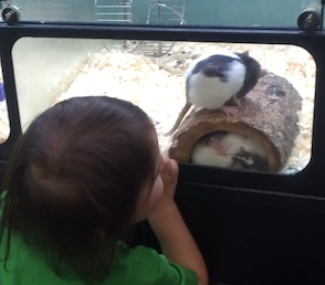 Up close and personal