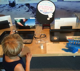 Could a salmon live with this acidity?